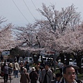 藍山渡月橋 22