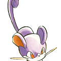 175px-Ratty_Rattata.png