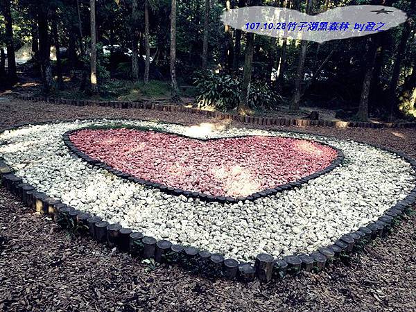 107.10.28竹子湖黑森林 by盈之1.jpg