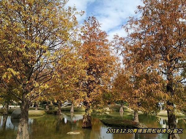 2018.12.30青埔落雨松祕境 By盈之1.jpg