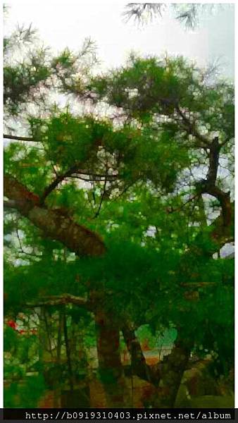 44554766422624__405x720-ARGB20150719-01.jpg 44554766422624__405x720-ARGB20150719-01.jpg