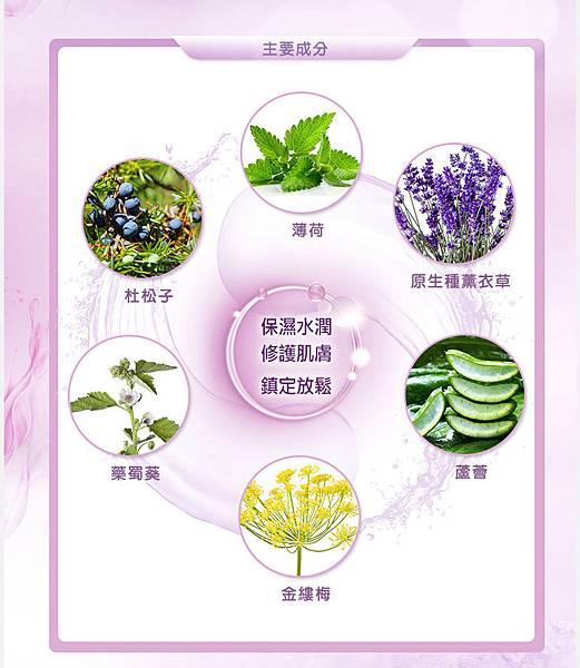 成分圖.jpg 試用