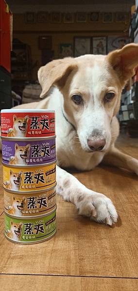 IMG20211207214606 試用