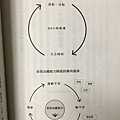 自癒力降低的旋窩＿不吃藥的免疫療法.jpg