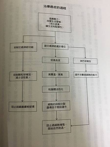 治療癌症的過程.JPG