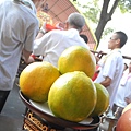 DSCN0090