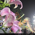 DSCN6513