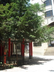 990422南商校園_12.JPG