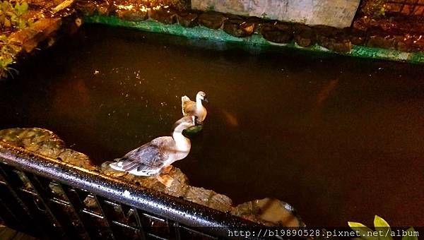 2016032326 2016032326