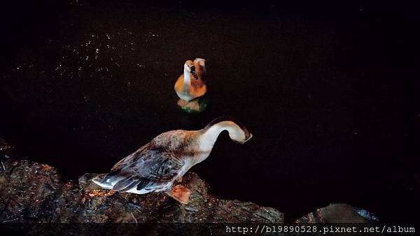 2016032322 2016032322