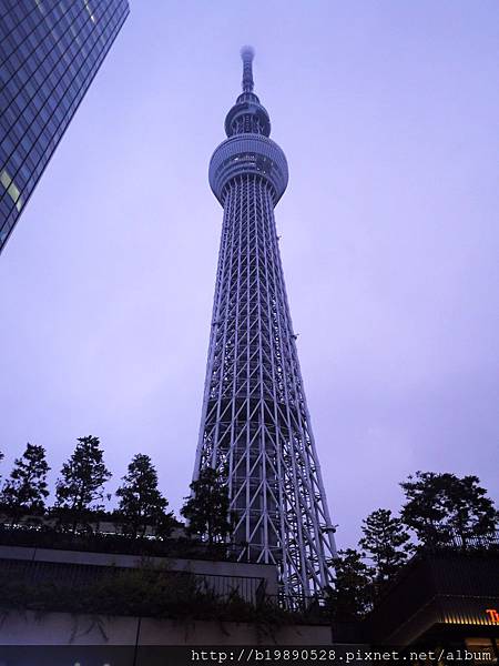 20150734.jpg