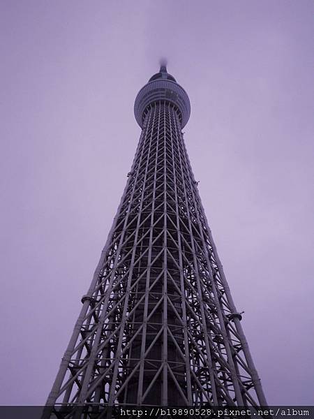 20150739.jpg