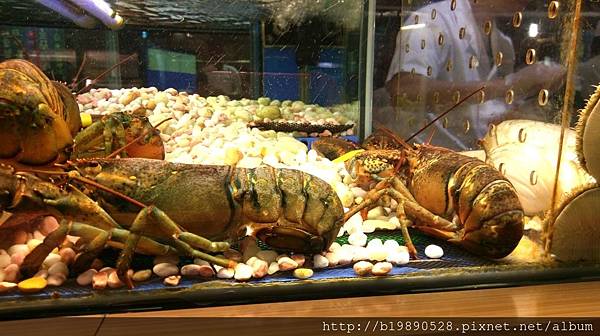 2017041536.jpg 2017041536.jpg