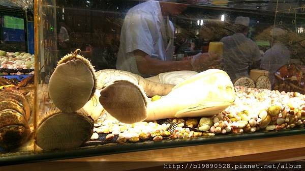 2017041537.jpg 2017041537.jpg