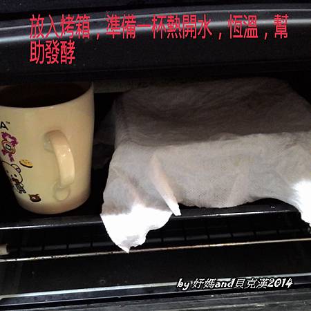 P11.jpg P11.jpg