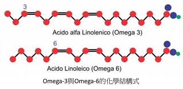 Omega3與Omega6的化學結構式