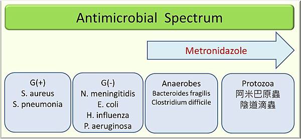 Metronidazole的抗菌圖