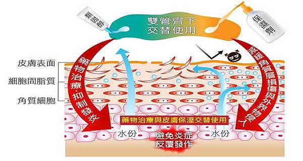 類固醇加保濕劑