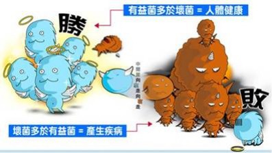 益生菌VS壞菌 益生菌VS壞菌