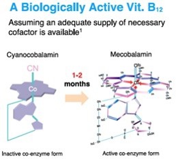 活性B12的轉換