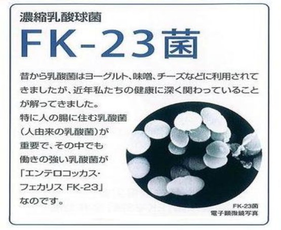 fk23