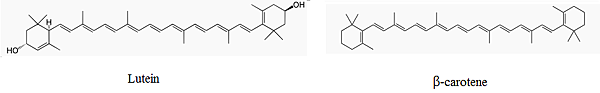 lutein & B-carotene