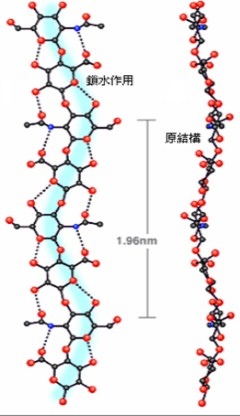 玻尿酸2