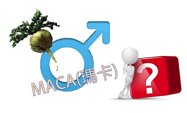 undefined undefined