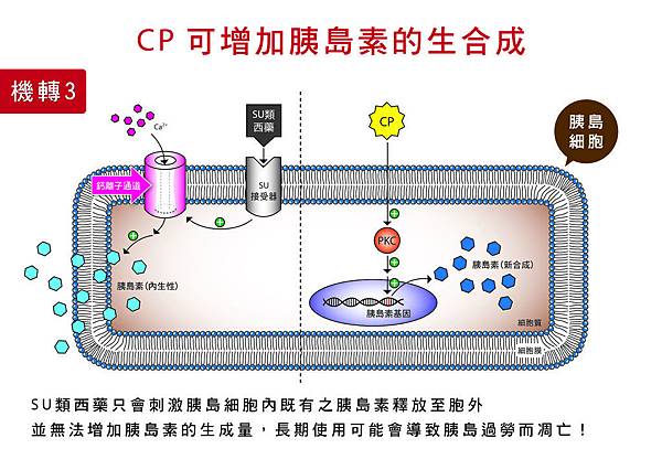 [美工設計]DiaBetter簡報單張投影片_P22-20131228-01