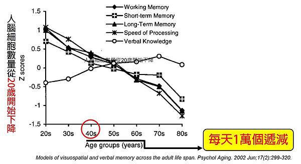人腦從20歲開始下降