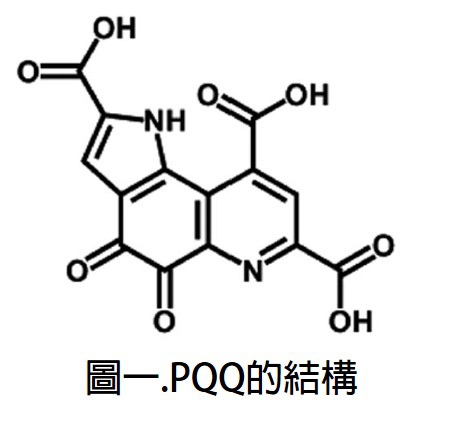 PQQ的結構