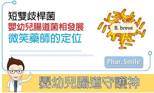 嬰幼兒腸道守護神 短雙歧桿菌 嬰幼兒腸道守護神 短雙歧桿菌