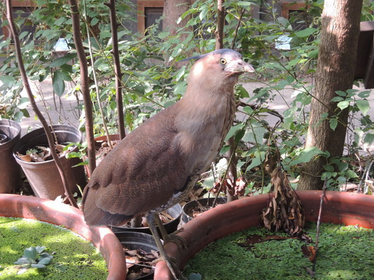 104-08-01 0083.jpg 104-08-01 0083.jpg