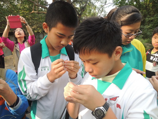 104-12-05 0623.jpg 104-12-05 0623.jpg