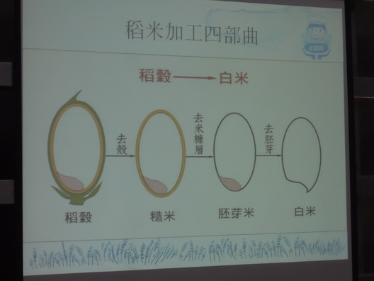 105-08-13 0163.jpg 105-08-13 0163.jpg