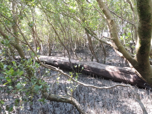 105-09-24 0653.jpg 105-09-24 0653.jpg