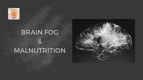 BRAIN FOG %26; MALNUTRITION.png