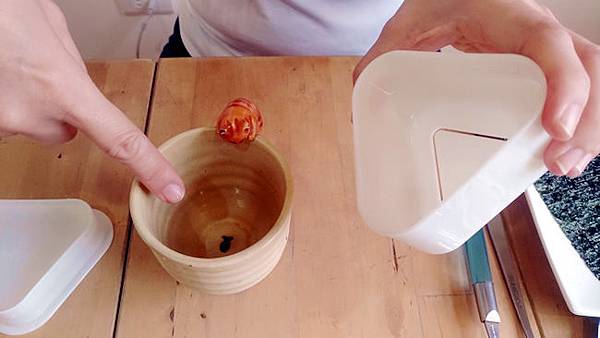 P_20191121_120139_vHDR_Auto.jpg P_20191121_120139_vHDR_Auto.jpg