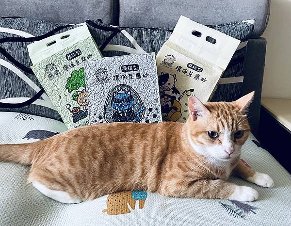 【寵物】首領樂園 首領貓豆腐砂 - 條形、仿礦形隨你選，符合