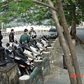 DSC00320-1.jpg