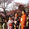 201635京都👘_2107.jpg