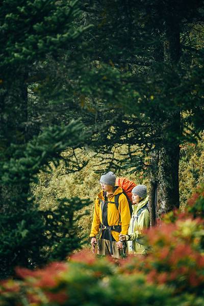 DSC_0489.jpg DSC_0489.jpg