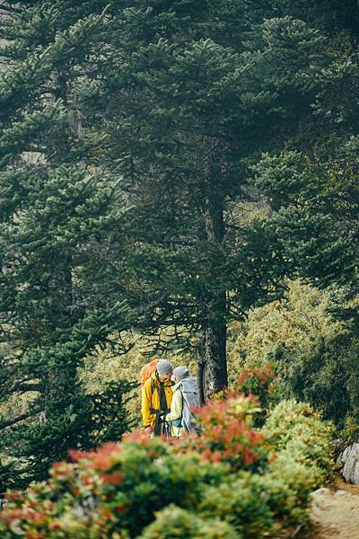 DSC_0495.jpg DSC_0495.jpg