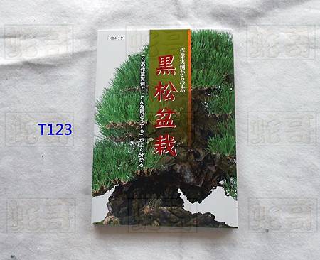 黑松盆栽技術集(T123)