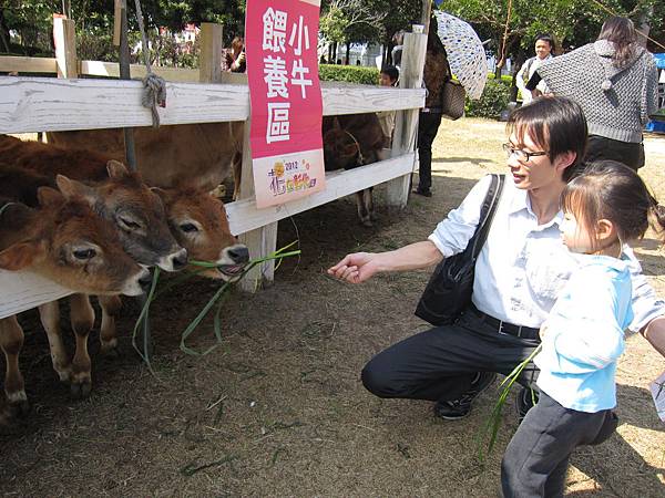 2012.2.05溪洲公園