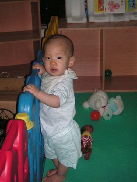 2009.6.17我會扶著東西站起來了.... 2009.6.17我會扶著東西站起來了....