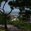 2008夏-花蓮3日遊 008.JPG