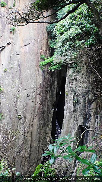 P1020033.JPG P1020033.JPG