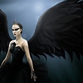 black swan