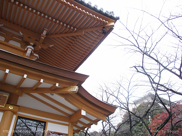 D4-2．增上寺 (38).jpg